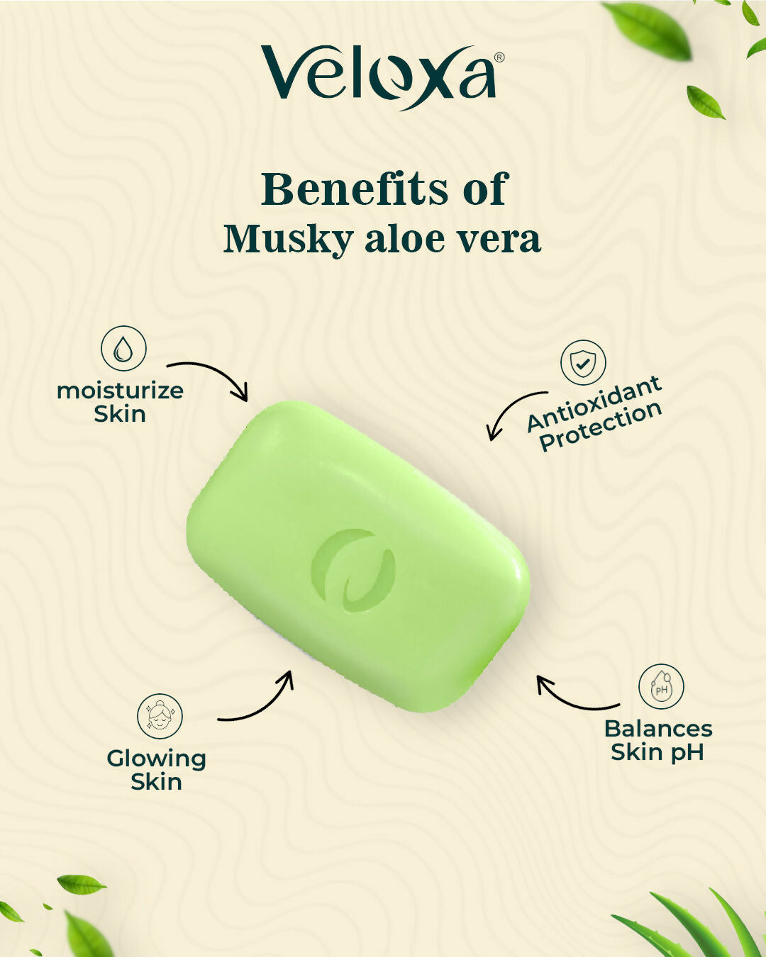 VELOXA Musky Aloevera with Power Of Vitamin E Oil