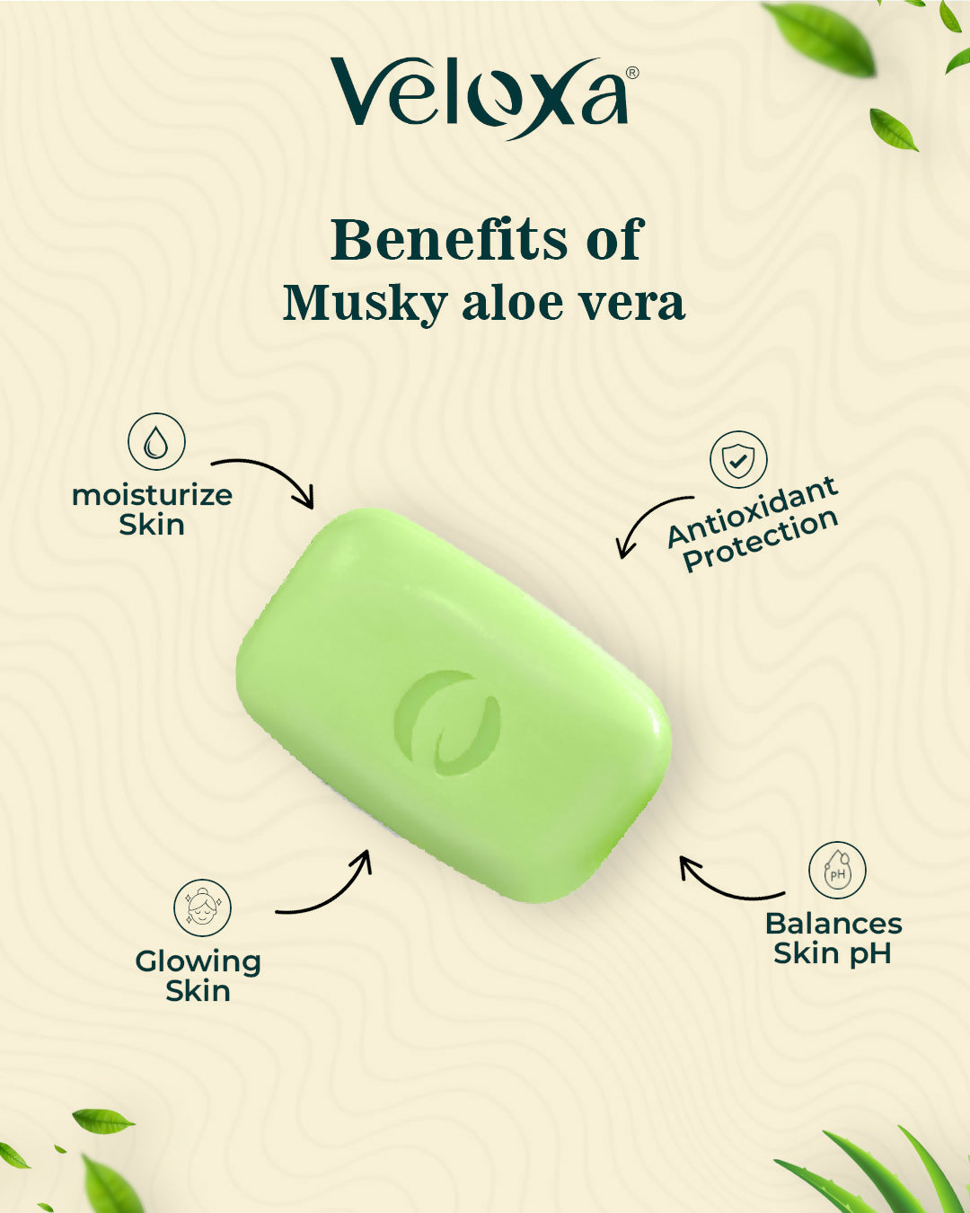 VELOXA Musky Aloevera with Power Of Vitamin E Oil Pack Of 3