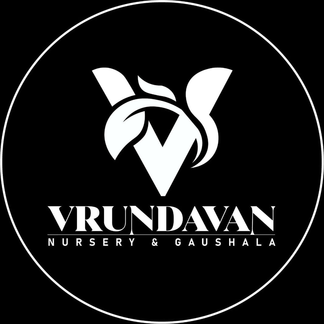 VRUNDAVAN NURSERY & GAUSHALA Sambrani Dhoop Cups for Pooja, Natural & Aromatic Premium Loban Cups, Long-Lasting Fragrance (12 Piece Set)